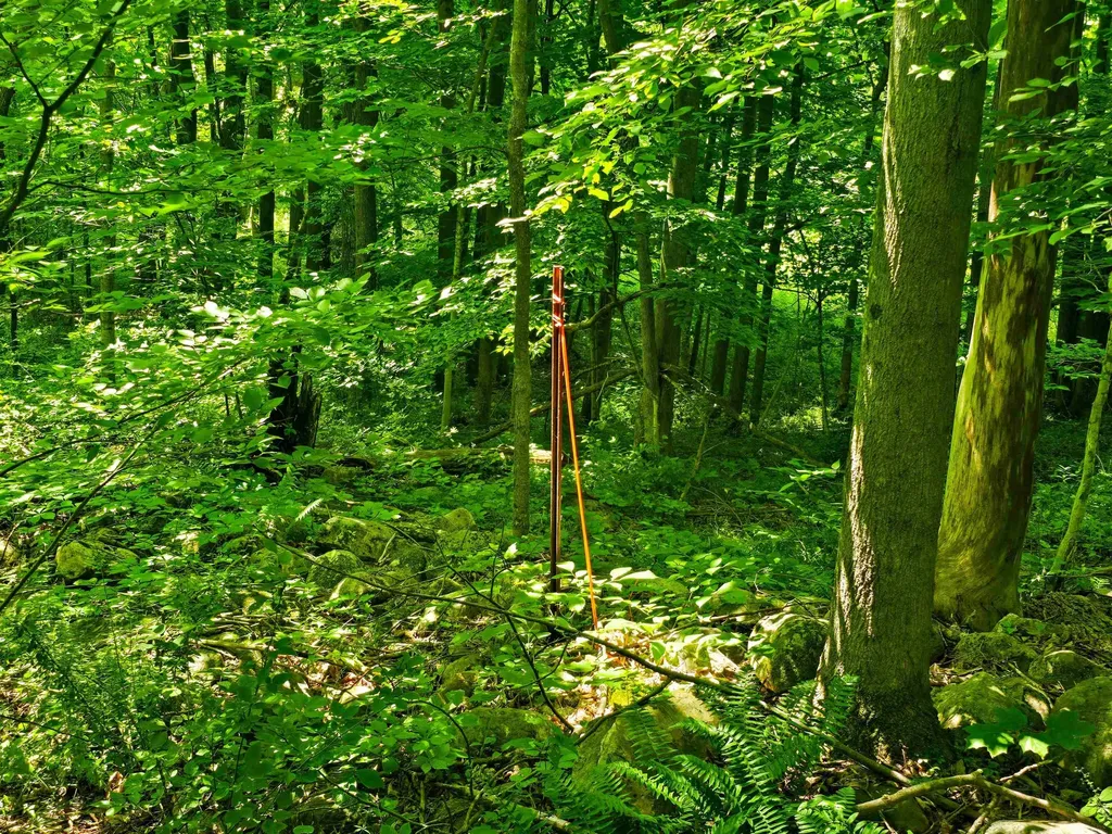 170 Gore Road Bennington VT 05201