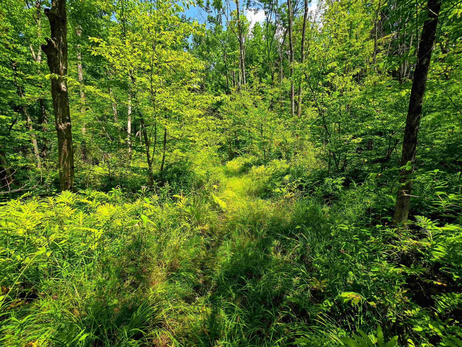 170 Gore Road Bennington VT 05201