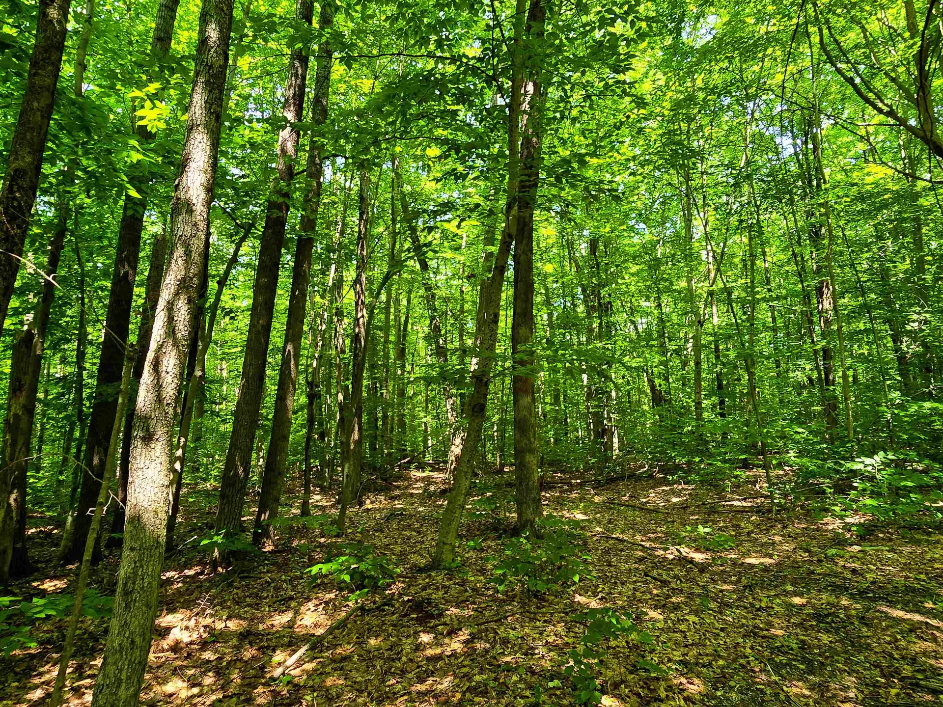 170 Gore Road Bennington VT 05201