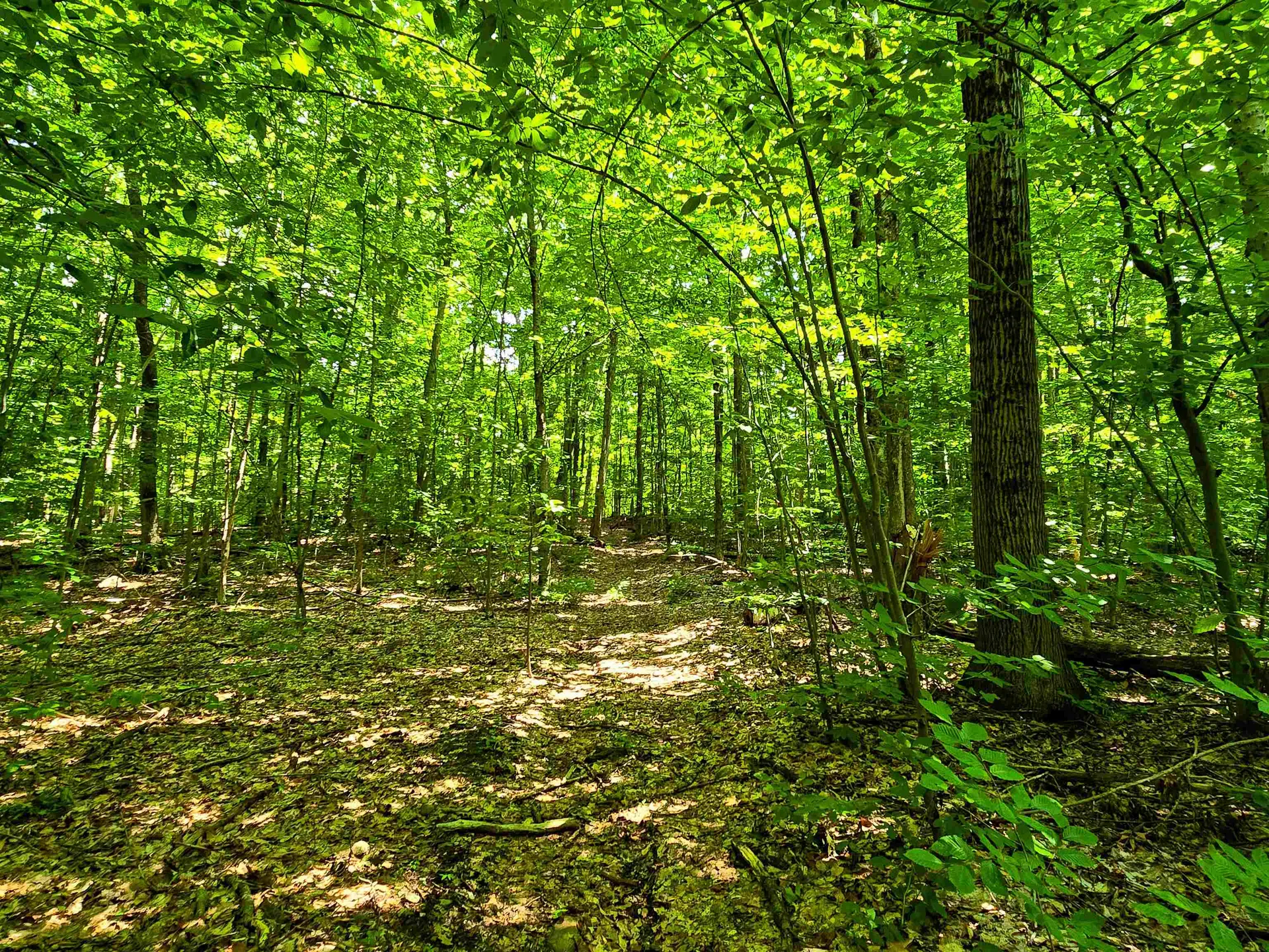 170 Gore Road Bennington VT 05201