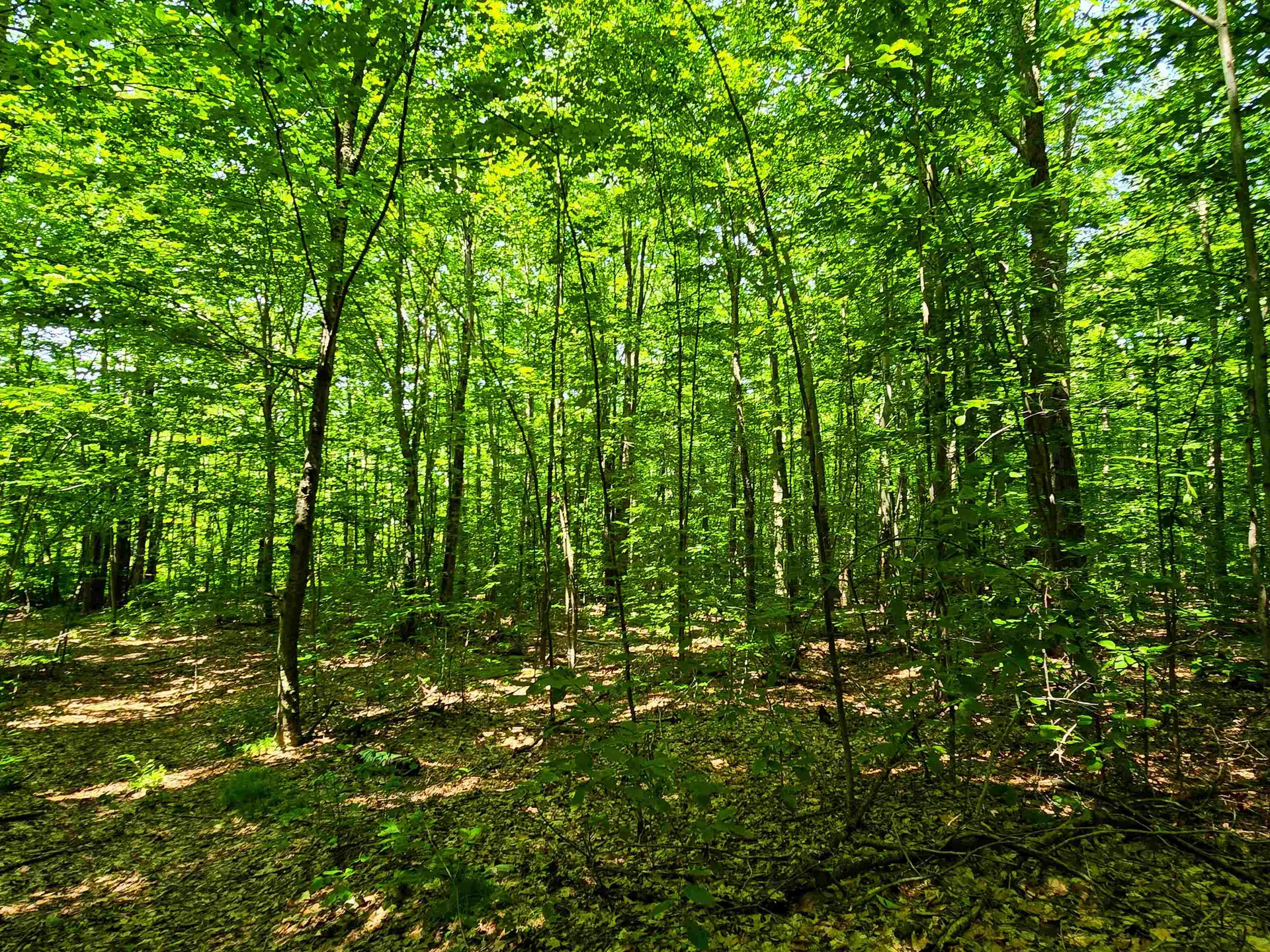 170 Gore Road Bennington VT 05201