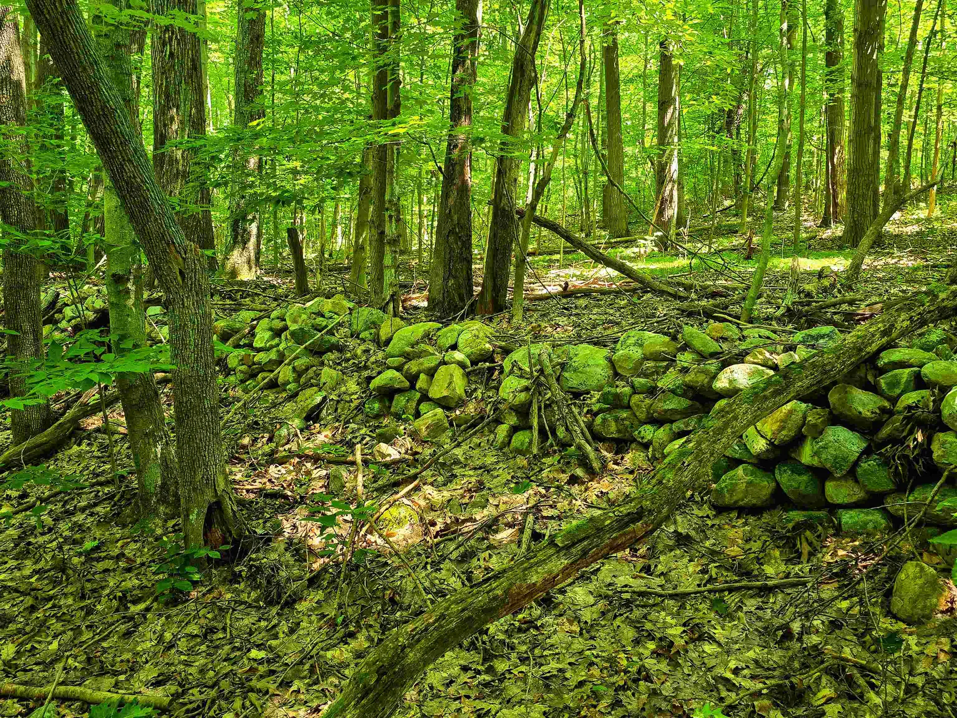 170 Gore Road Bennington VT 05201