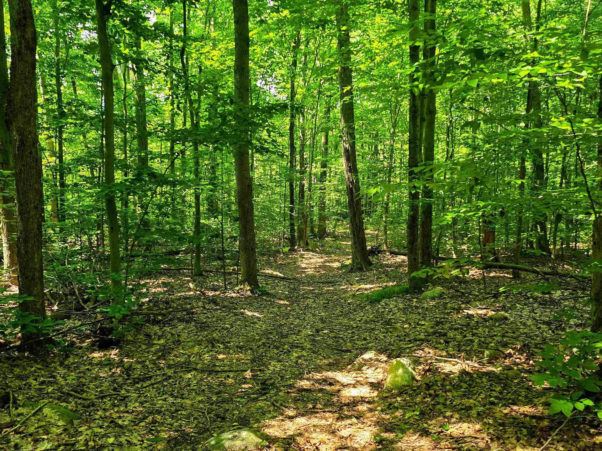 170 Gore Road Bennington VT 05201