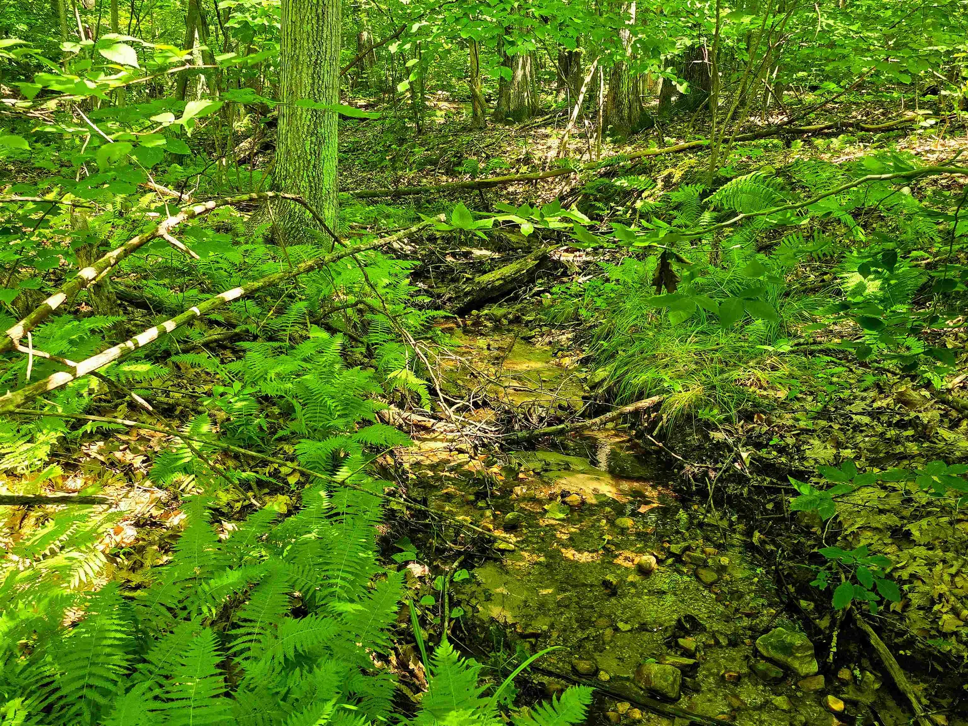 170 Gore Road Bennington VT 05201