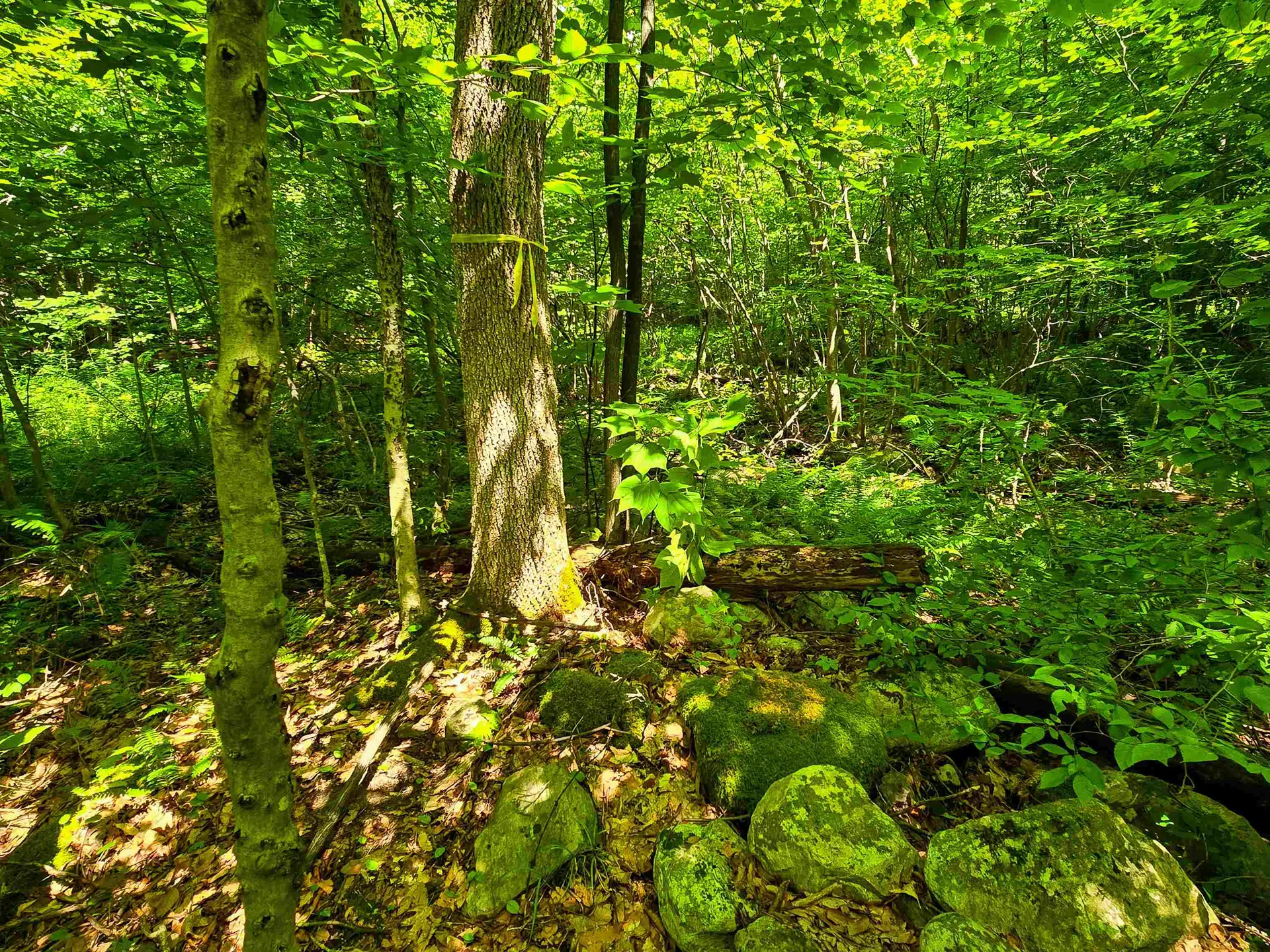 170 Gore Road Bennington VT 05201