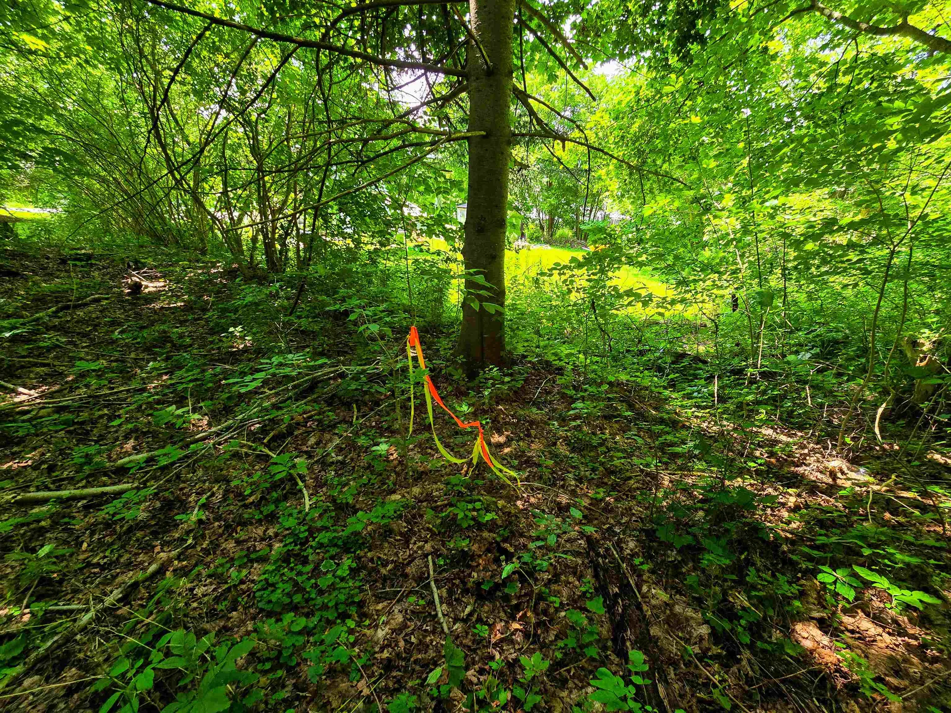 170 Gore Road Bennington VT 05201