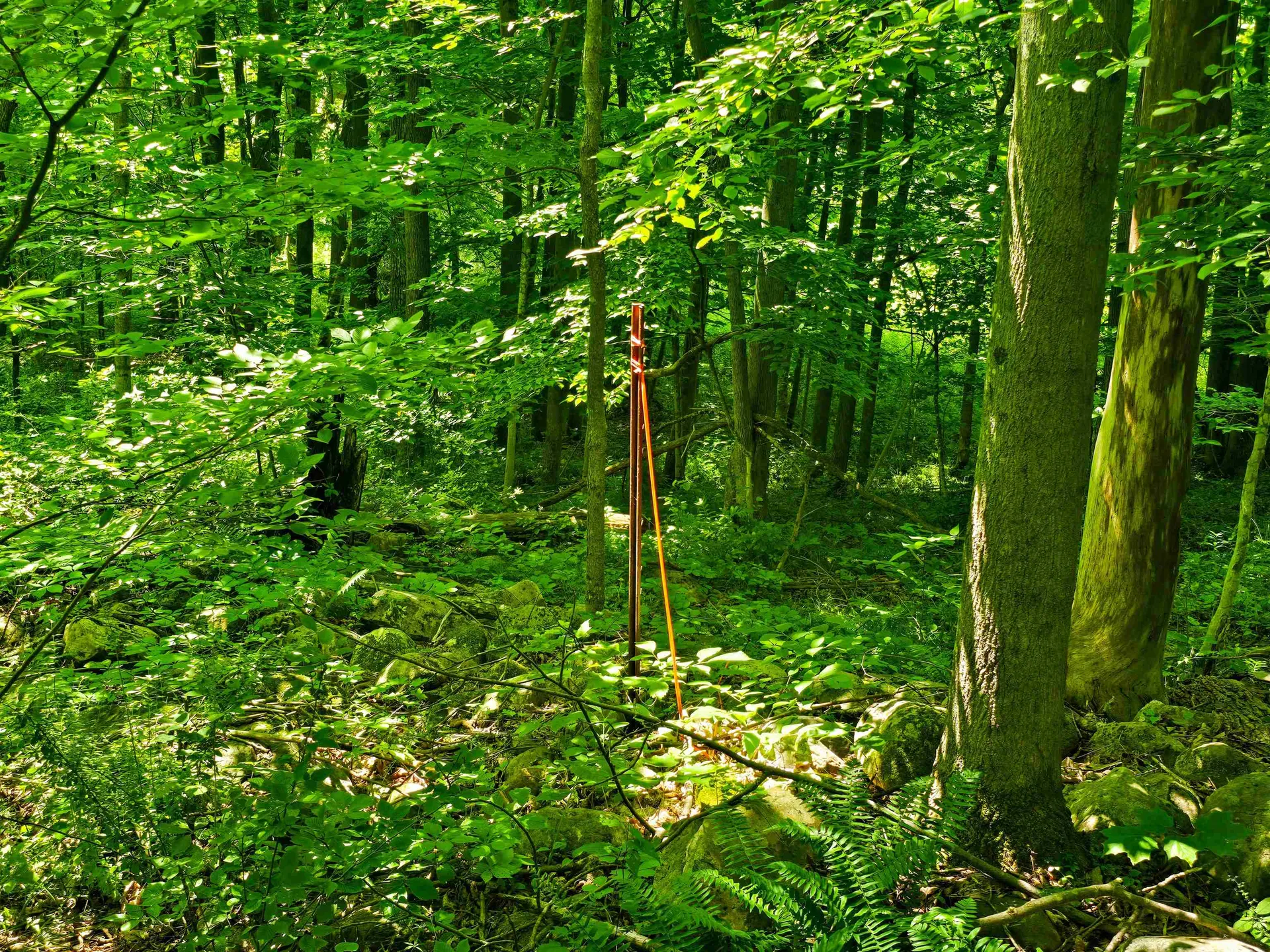 170 Gore Road Bennington VT 05201