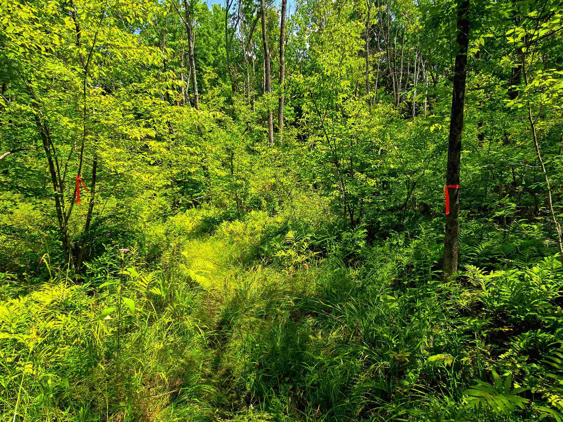 170 Gore Road Bennington VT 05201