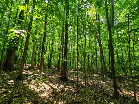 170 Gore Road Bennington VT 05201