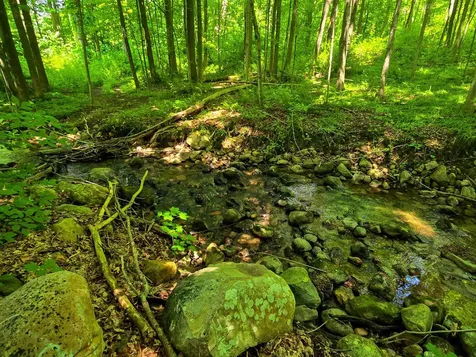 170 Gore Road Bennington VT 05201