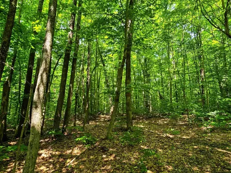 170 Gore Road Bennington VT 05201