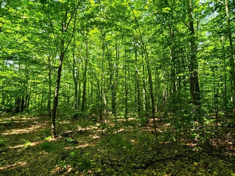 170 Gore Road Bennington VT 05201