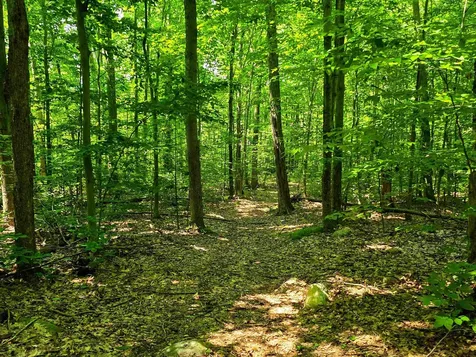 170 Gore Road Bennington VT 05201