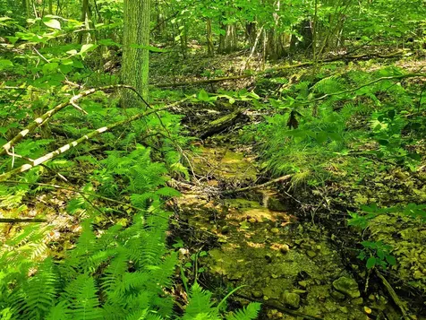 170 Gore Road Bennington VT 05201