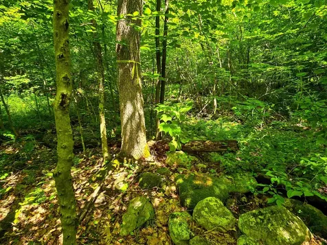 170 Gore Road Bennington VT 05201