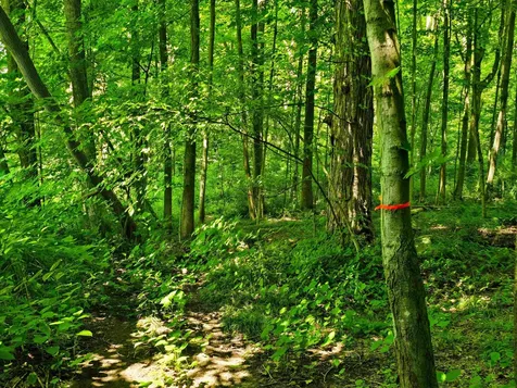 170 Gore Road Bennington VT 05201