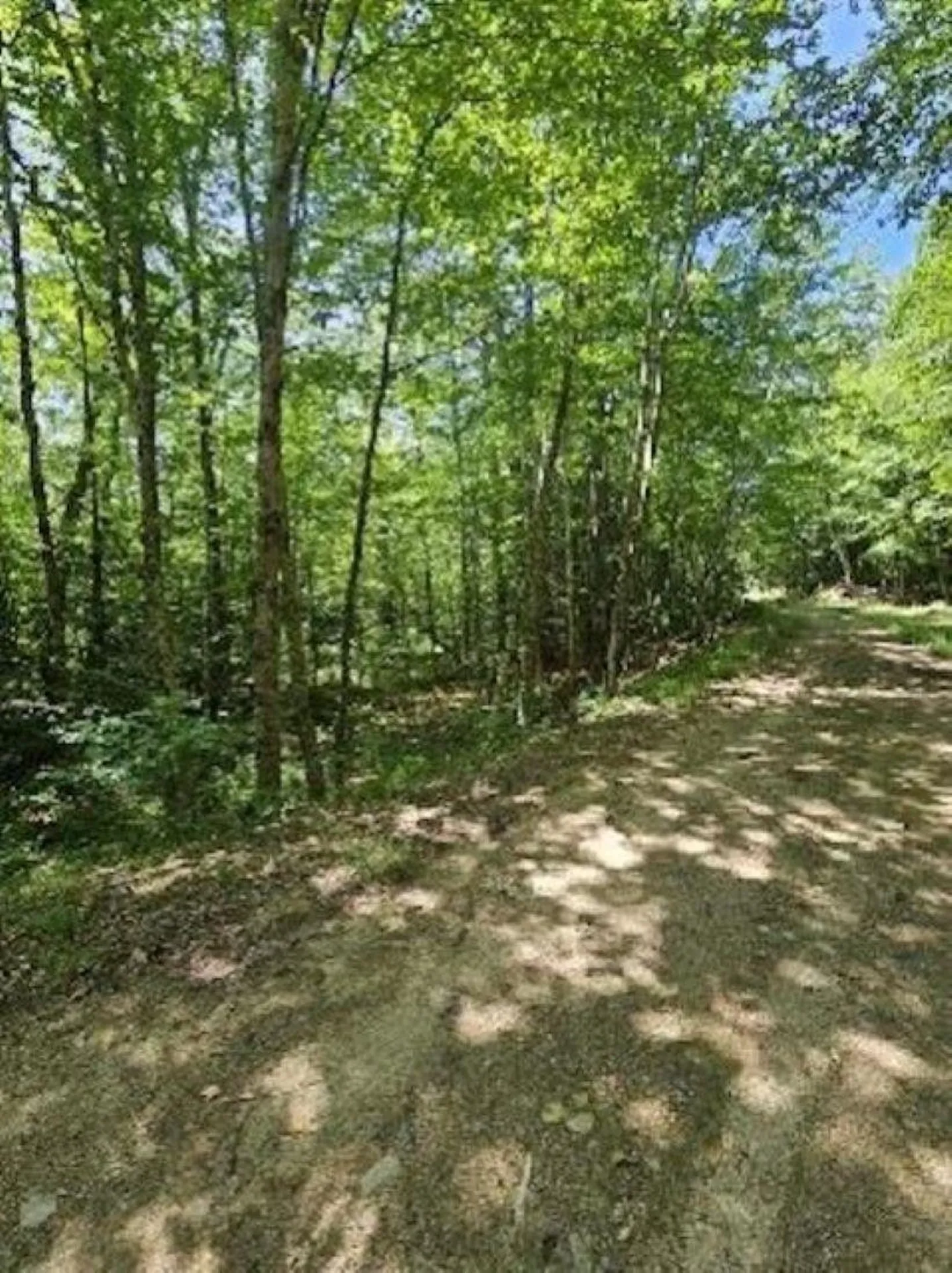 0 Myrtle Street Campton NH 03223