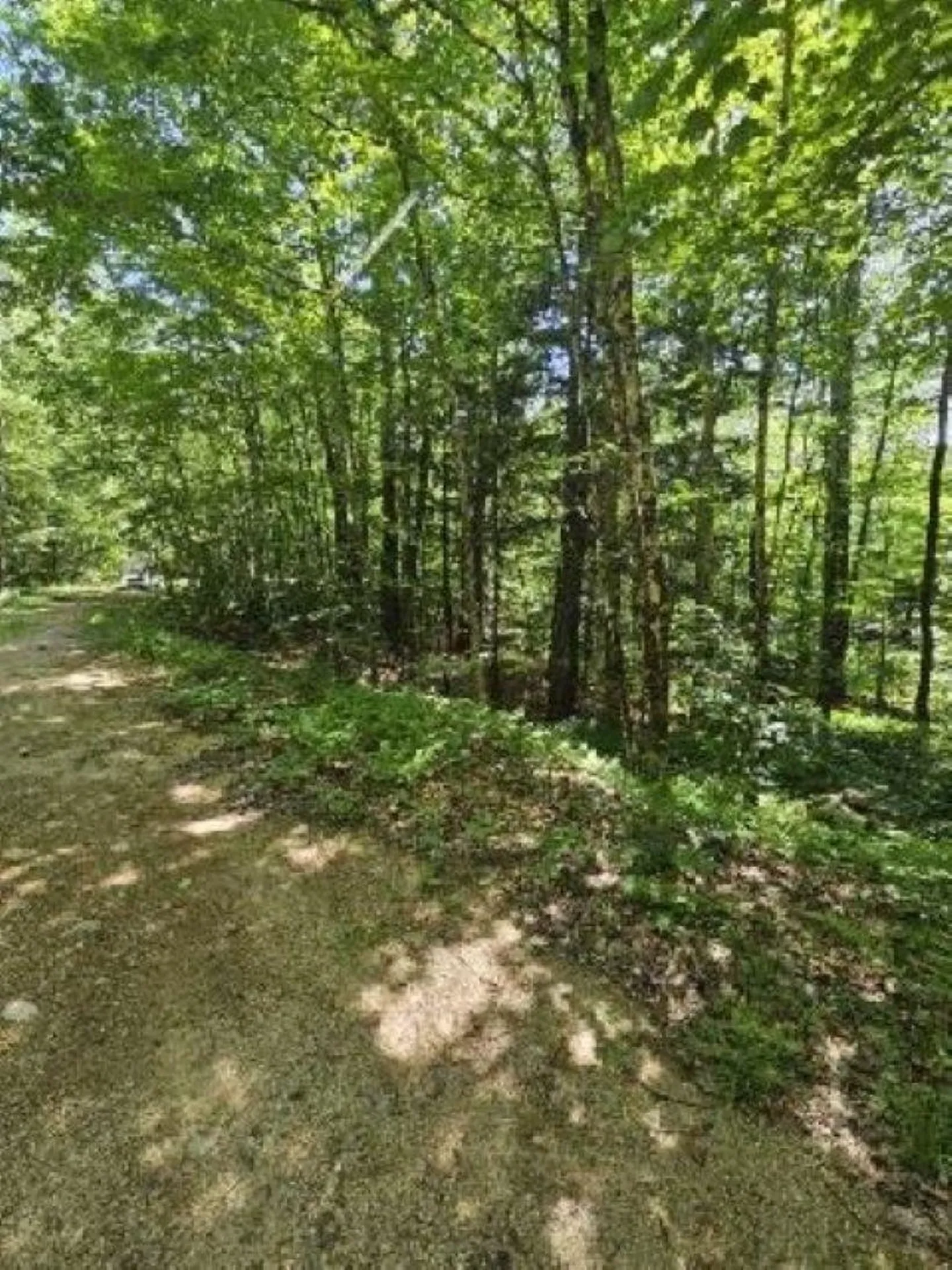 0 Myrtle Street Campton NH 03223