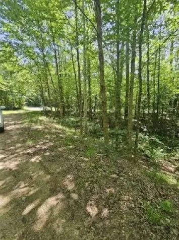 0 Myrtle Street Campton NH 03223