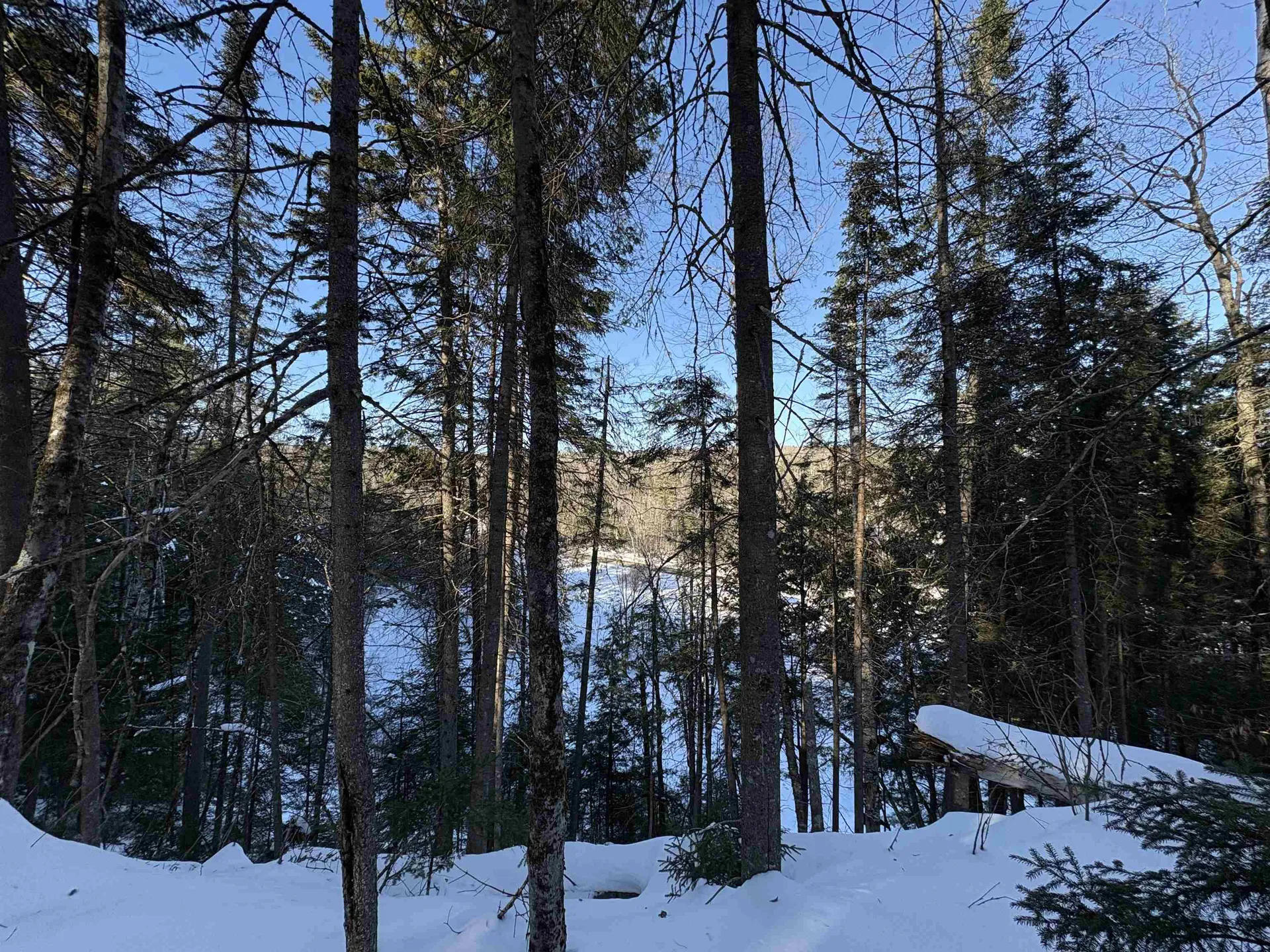 27 Westville Road Groton VT 05046