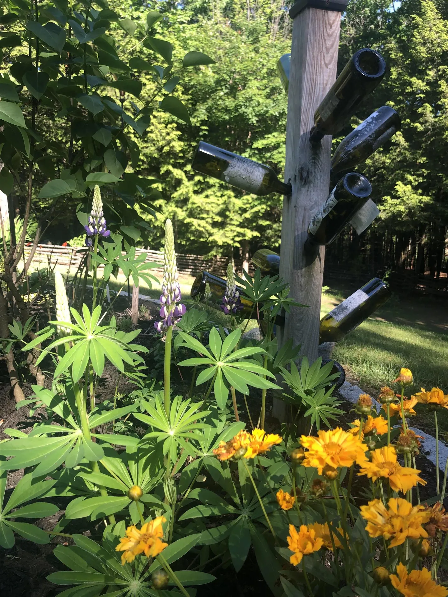 74 Mohawk Lane Brentwood NH 03833