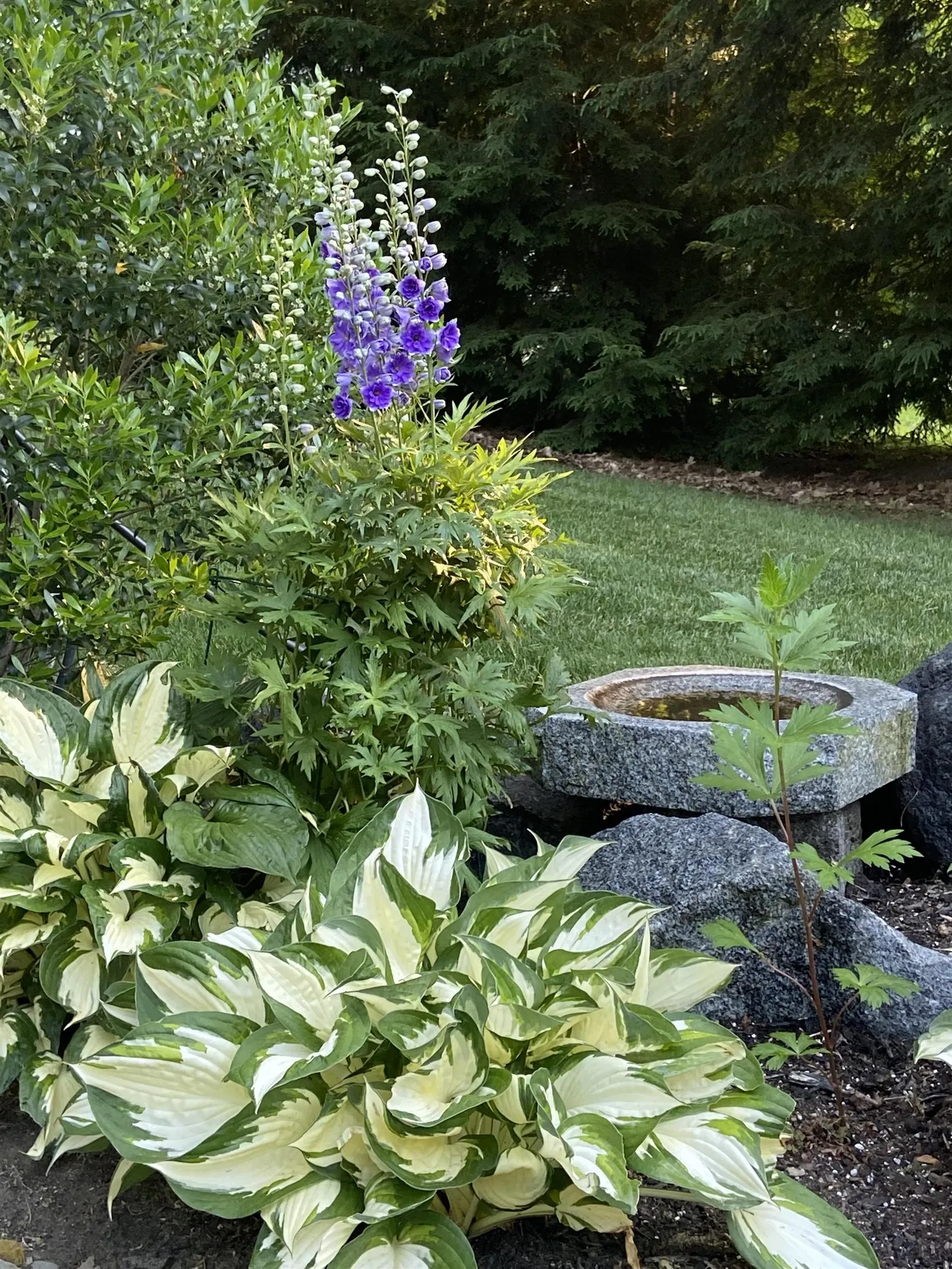 74 Mohawk Lane Brentwood NH 03833