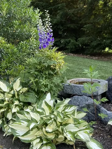 74 Mohawk Lane Brentwood NH 03833