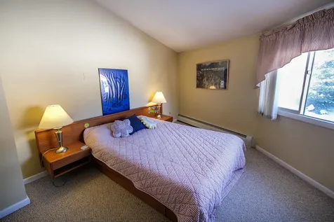 141 Upper Crossroad Ludlow VT 05149