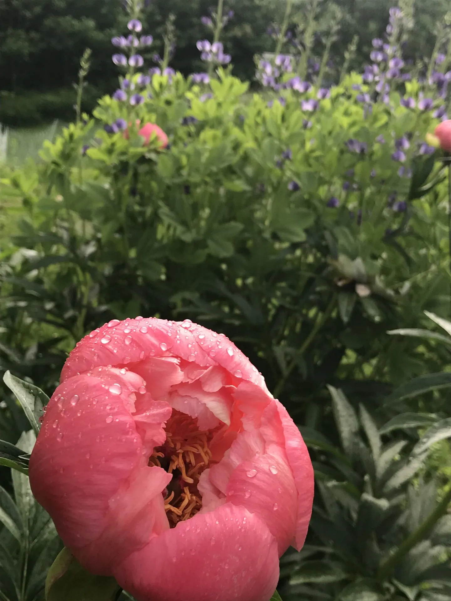 157 Mehuron Drive Waitsfield VT 05673