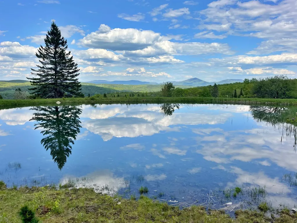 1275 Chesley Hill Road Wheelock VT 05851