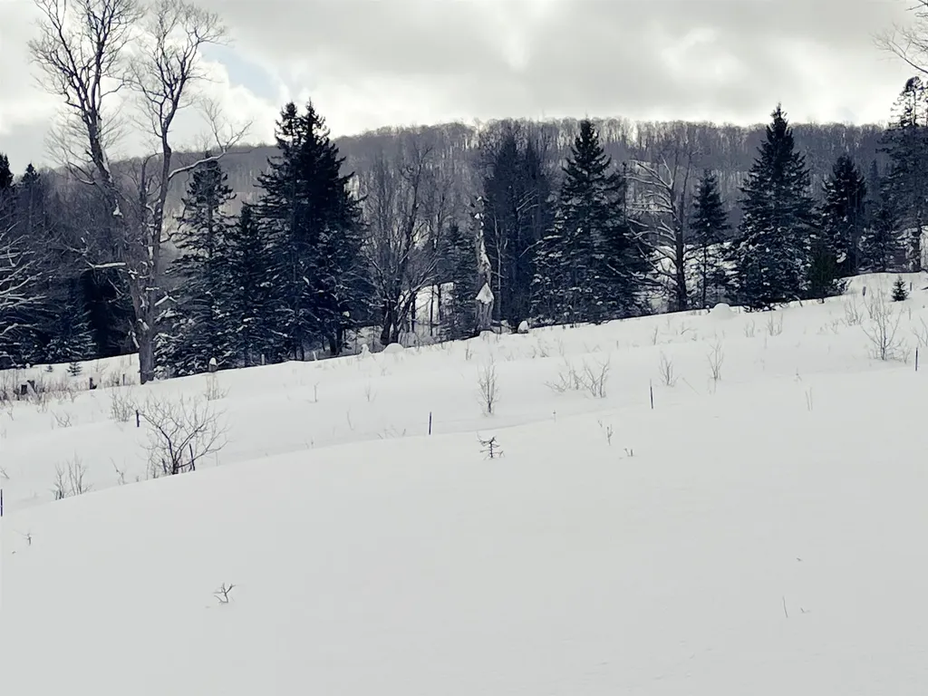 1275 Chesley Hill Road Wheelock VT 05851