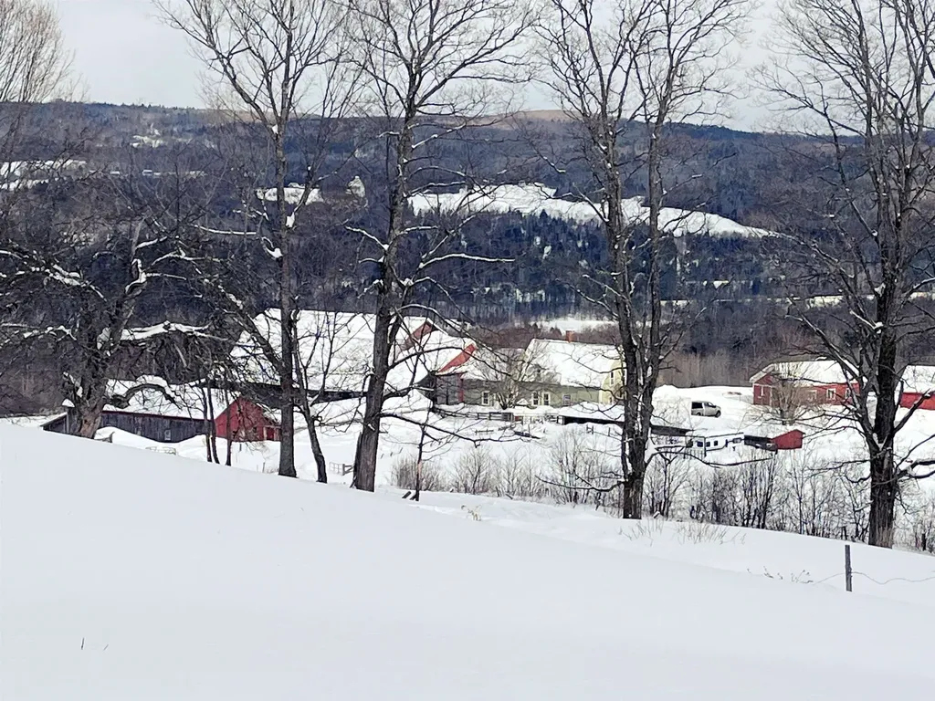 1275 Chesley Hill Road Wheelock VT 05851