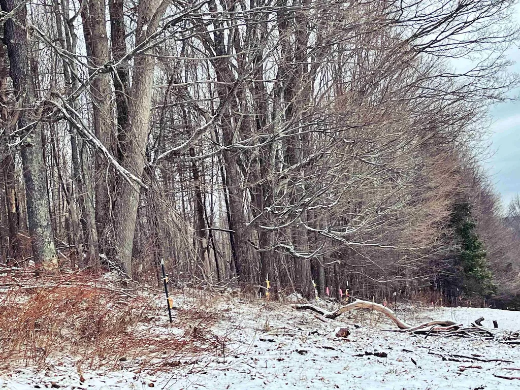 1275 Chesley Hill Road Wheelock VT 05851