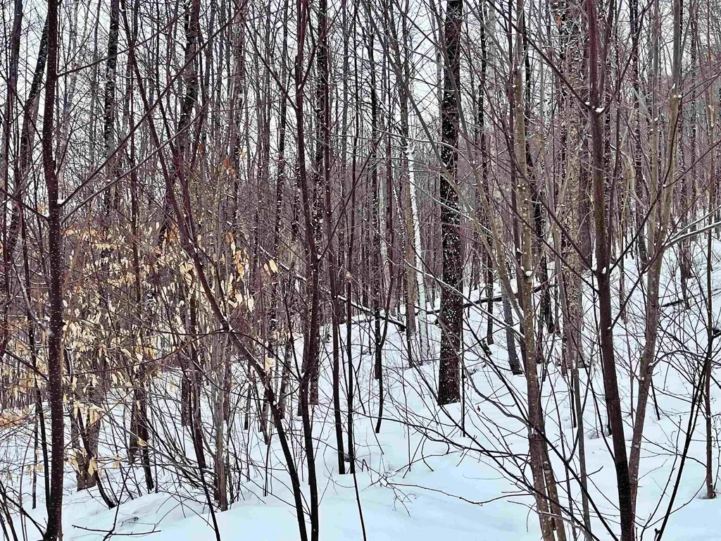 1275 Chesley Hill Road Wheelock VT 05851