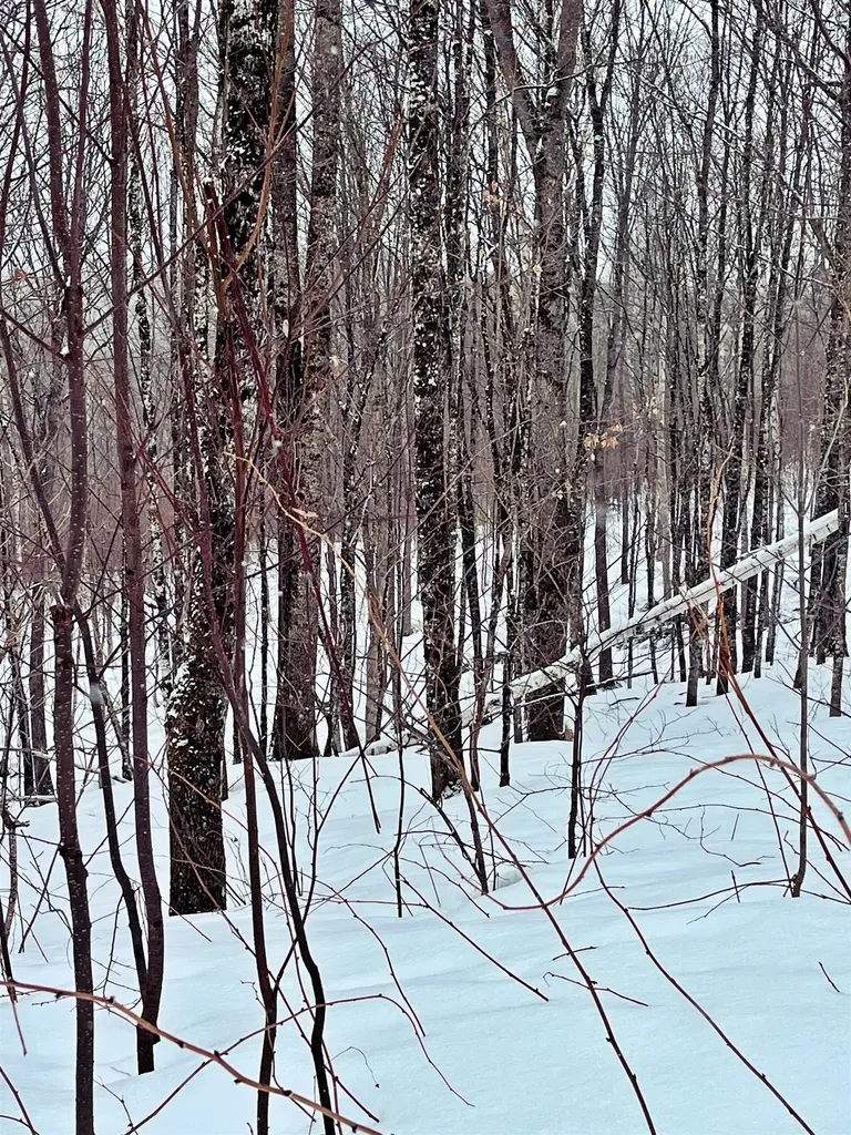 1275 Chesley Hill Road Wheelock VT 05851