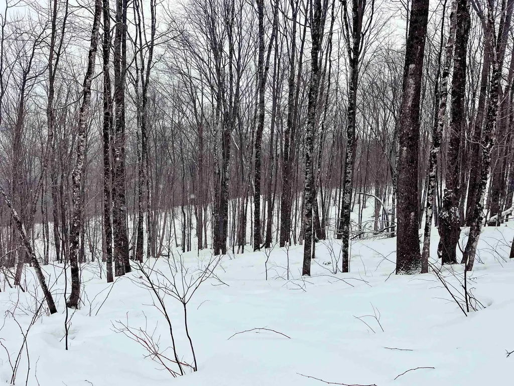 1275 Chesley Hill Road Wheelock VT 05851