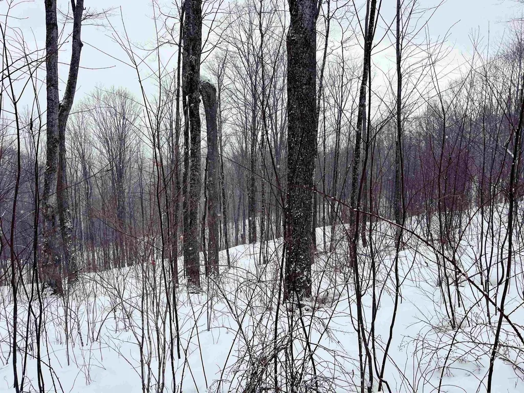 1275 Chesley Hill Road Wheelock VT 05851