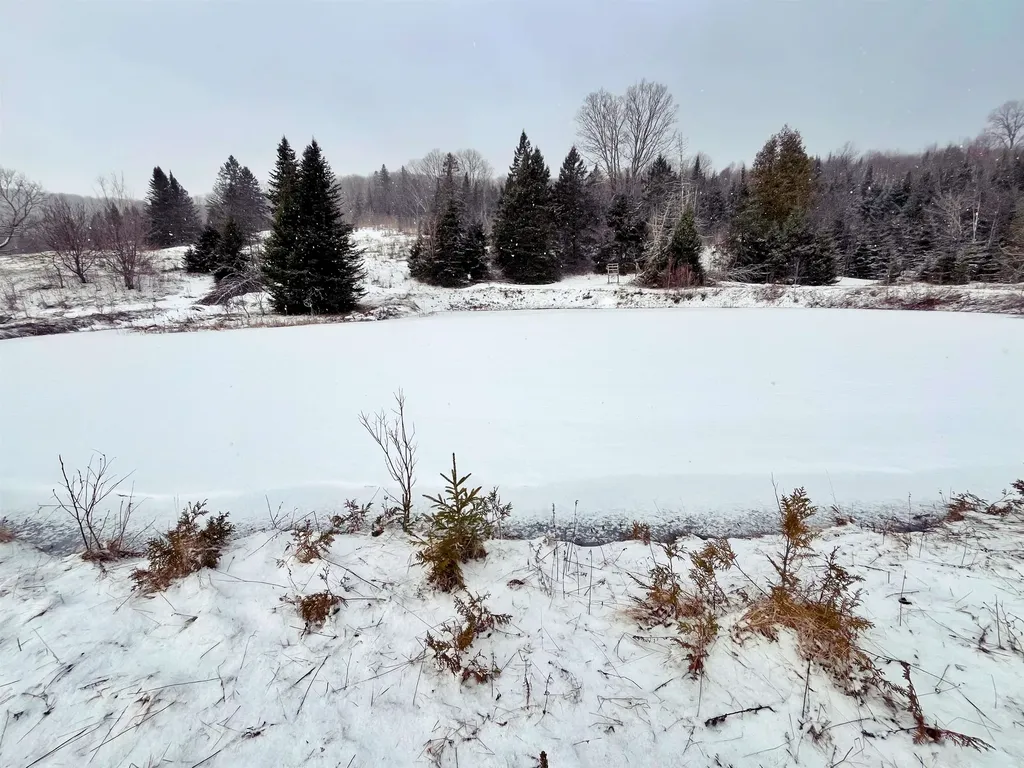 1275 Chesley Hill Road Wheelock VT 05851