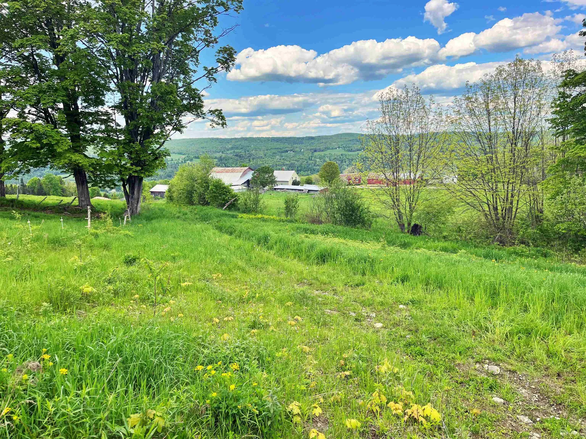 1275 Chesley Hill Road Wheelock VT 05851