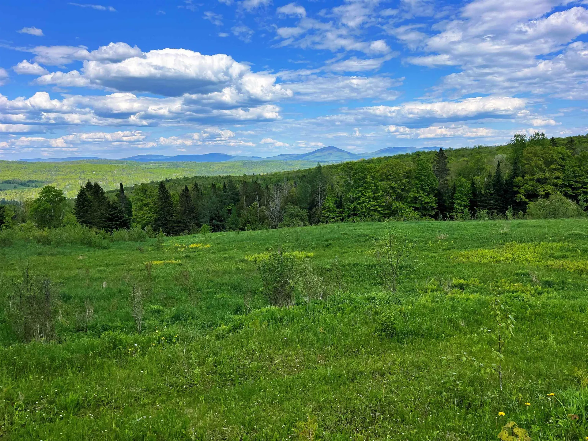 1275 Chesley Hill Road Wheelock VT 05851