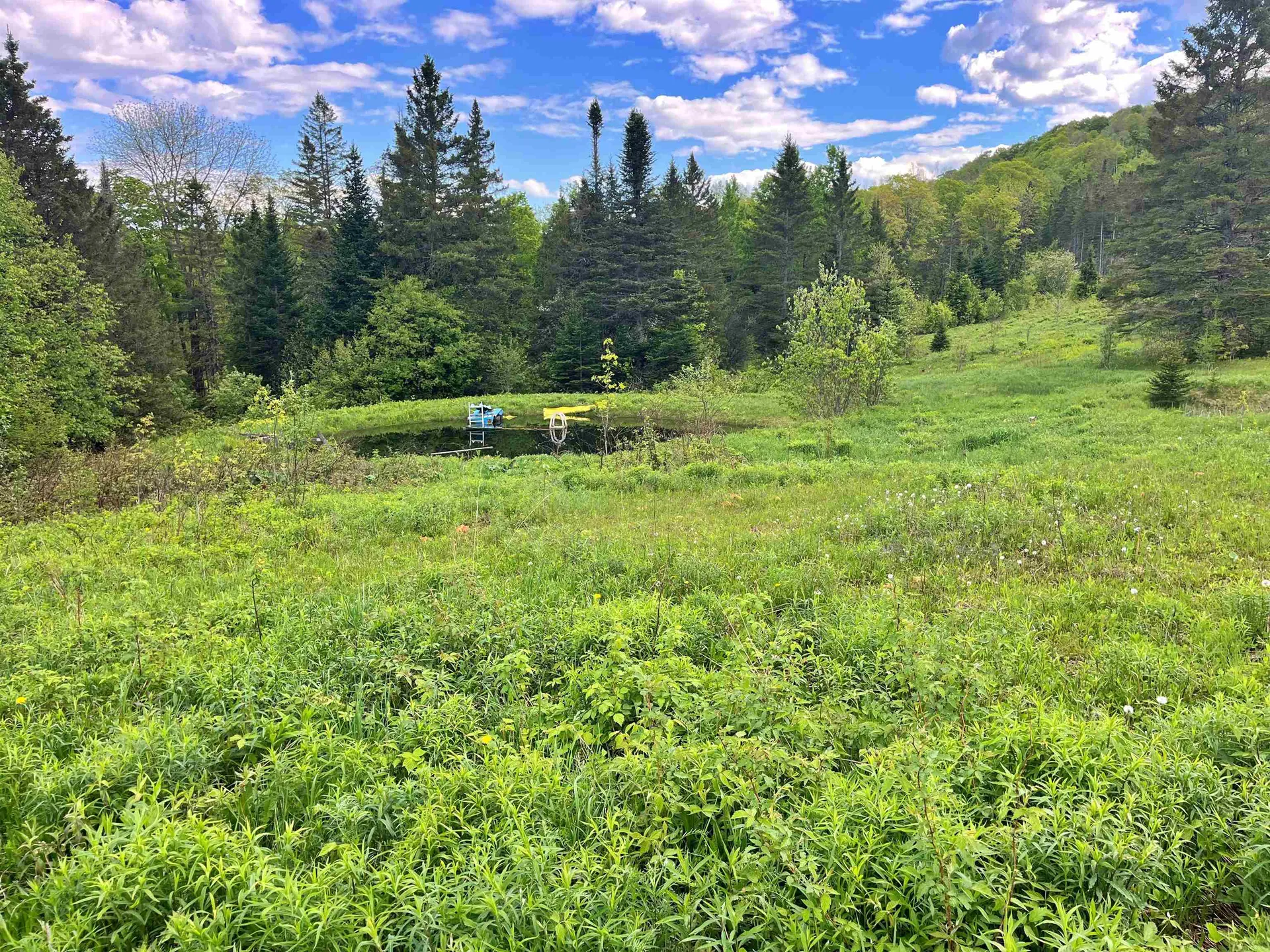 1275 Chesley Hill Road Wheelock VT 05851