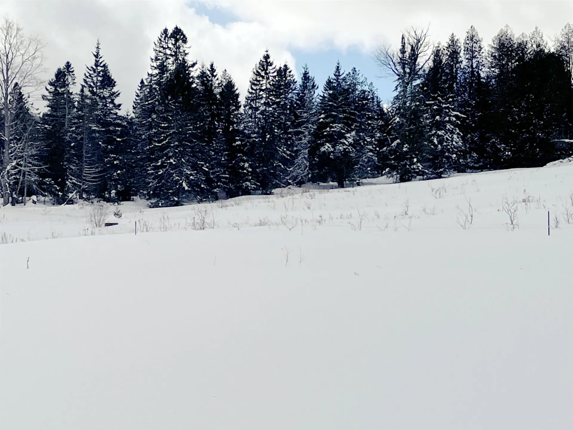 1275 Chesley Hill Road Wheelock VT 05851