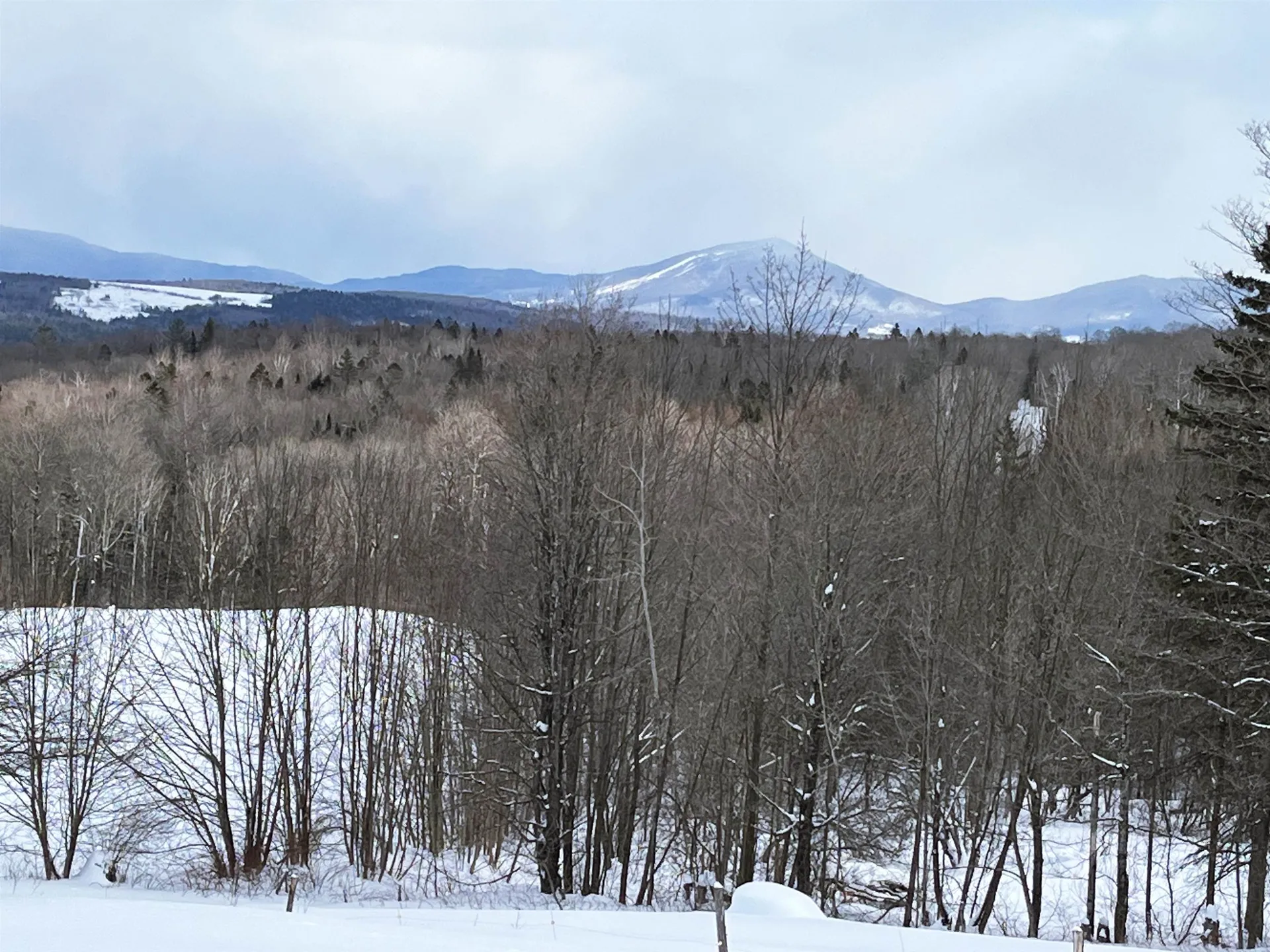 1275 Chesley Hill Road Wheelock VT 05851