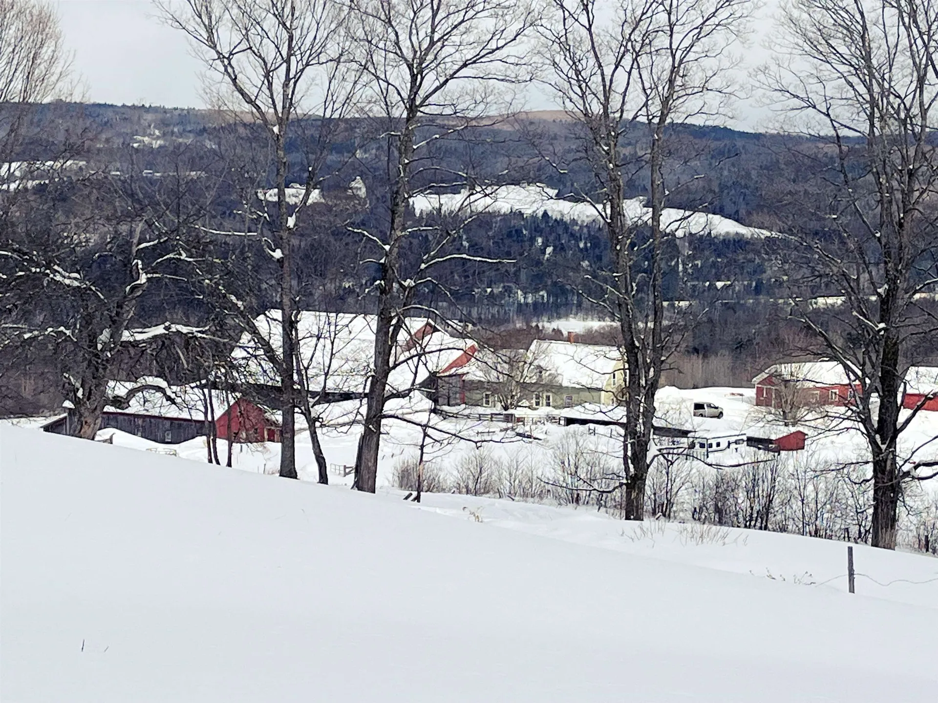 1275 Chesley Hill Road Wheelock VT 05851