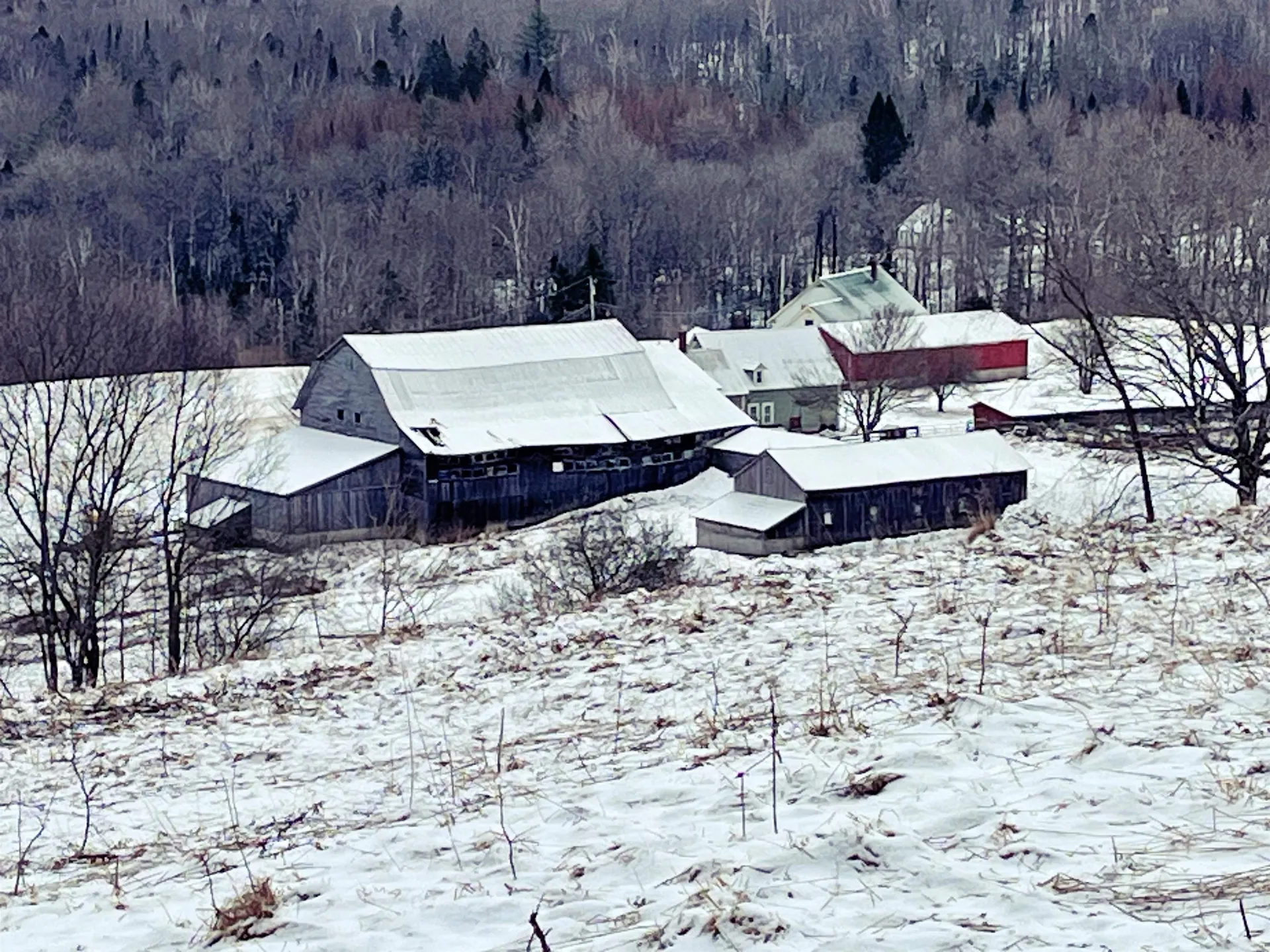 1275 Chesley Hill Road Wheelock VT 05851