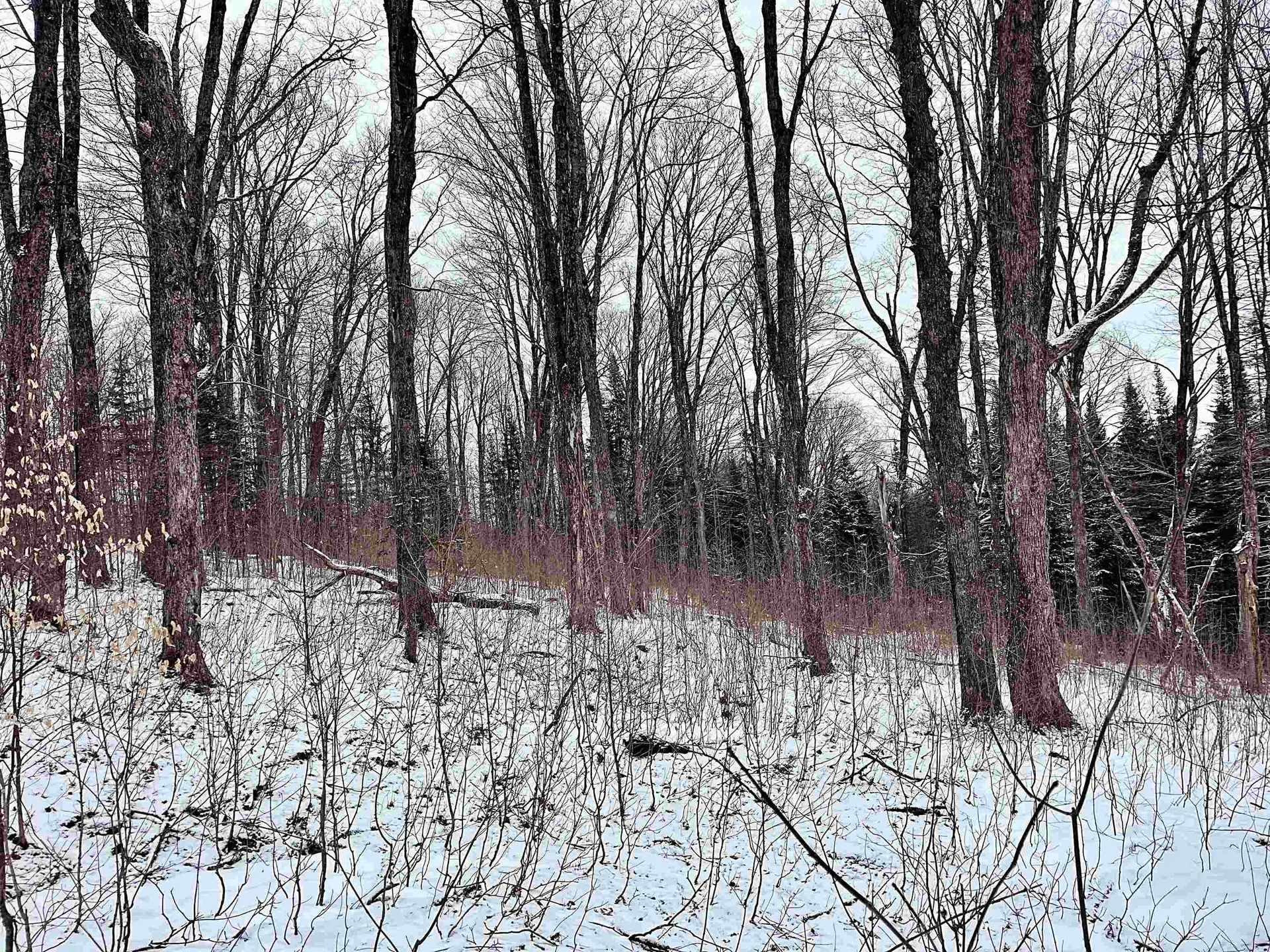 1275 Chesley Hill Road Wheelock VT 05851