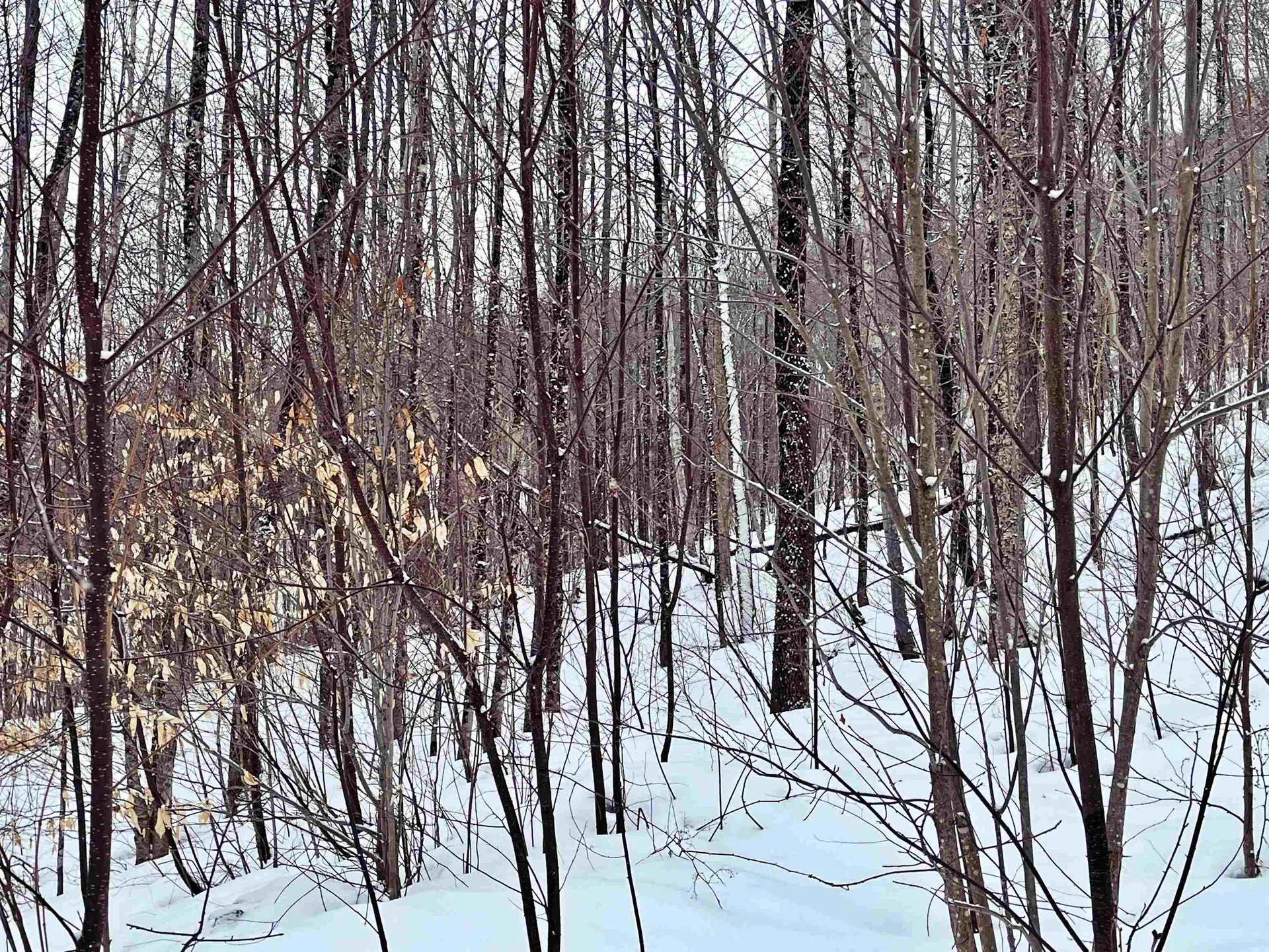 1275 Chesley Hill Road Wheelock VT 05851