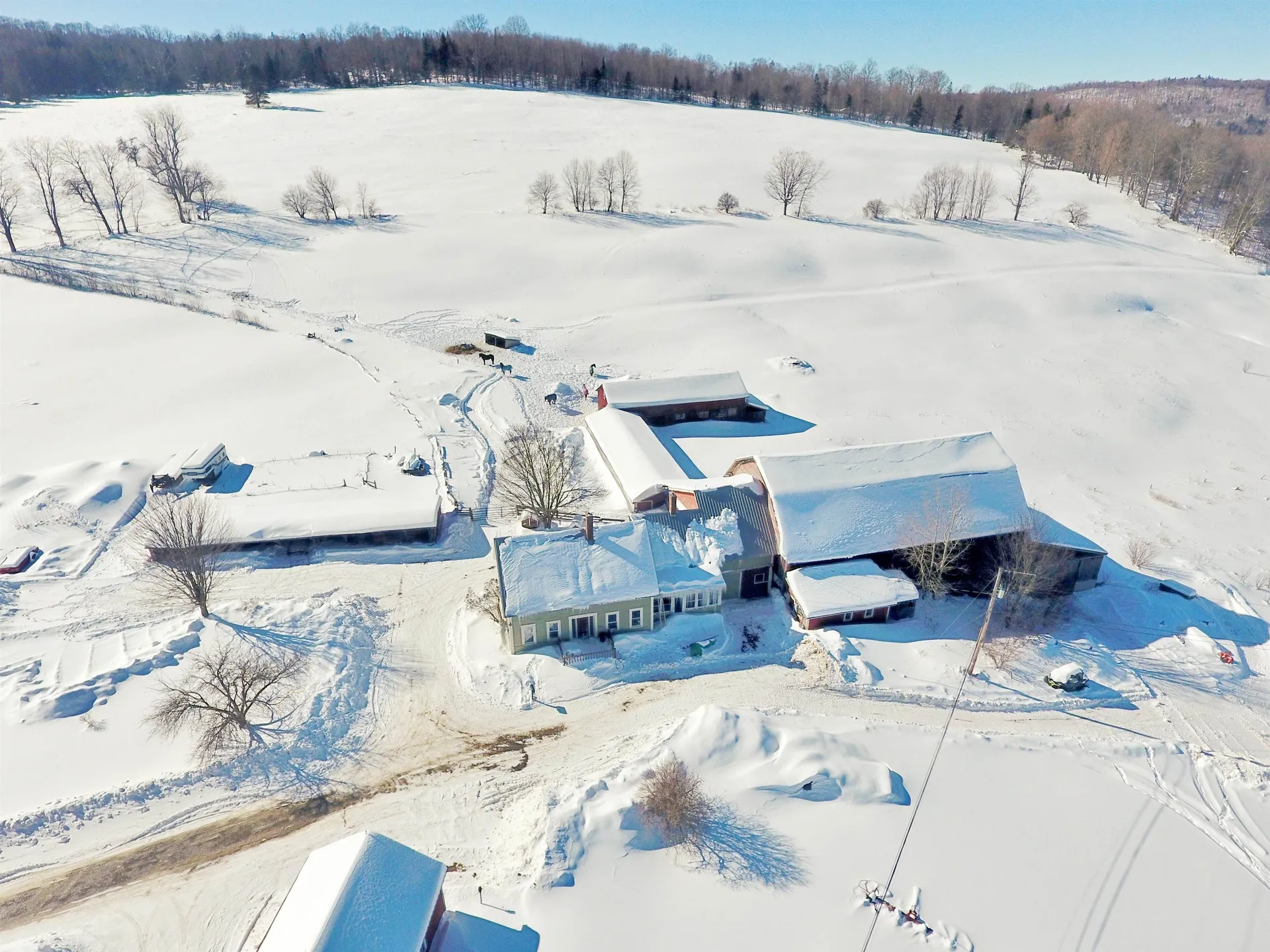 1275 Chesley Hill Road Wheelock VT 05851