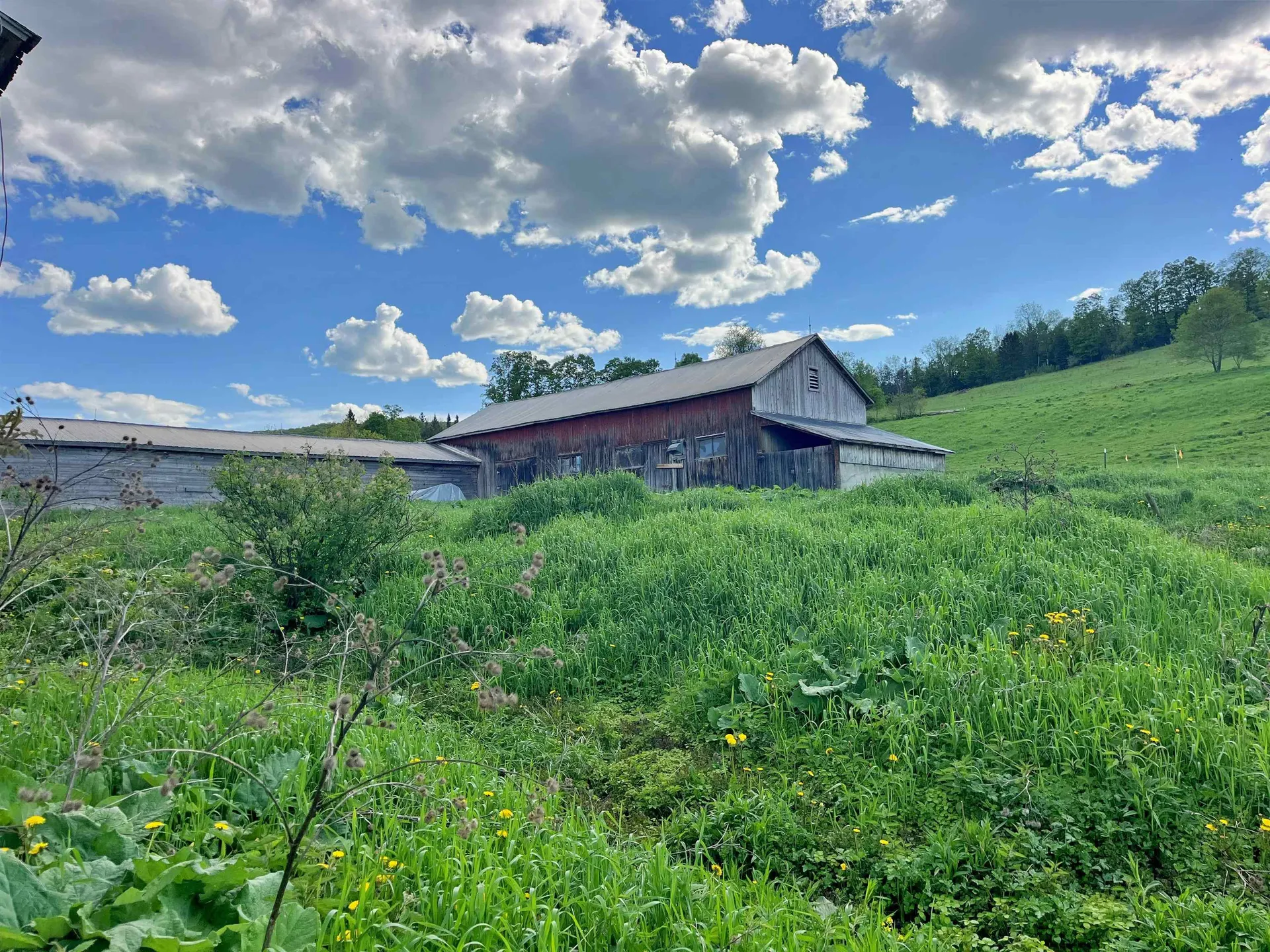 1275 Chesley Hill Road Wheelock VT 05851