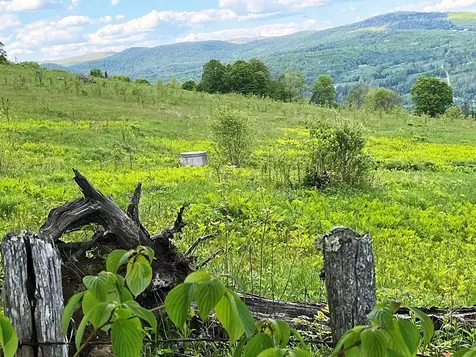 1275 Chesley Hill Road Wheelock VT 05851